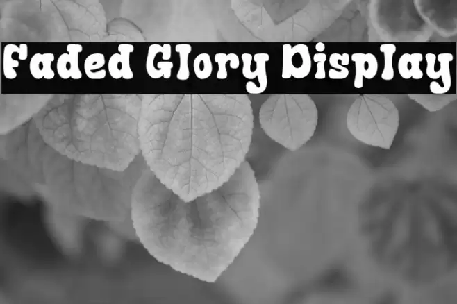 Faded Glory Display 字体 examples