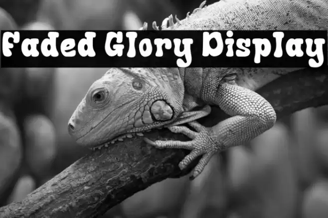 Faded Glory Display 字体 examples