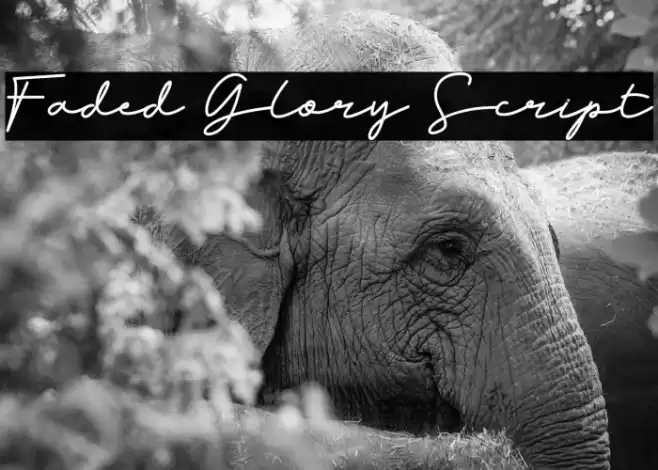 Faded Glory Script Font examples