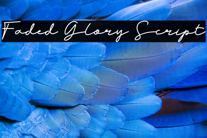 Faded Glory Script Example 3