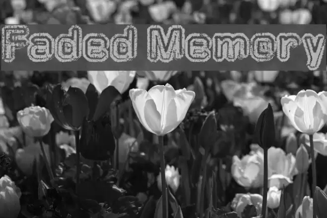Faded Memory Font examples
