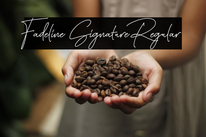 Fadeline Signature Regular Example 1