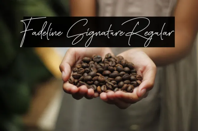 Fadeline Signature Regular Example 1
