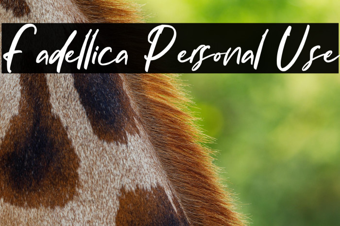 Fadellica Personal Use Example 3