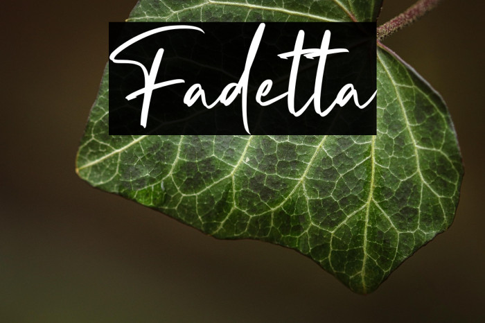 Fadetta Example 3