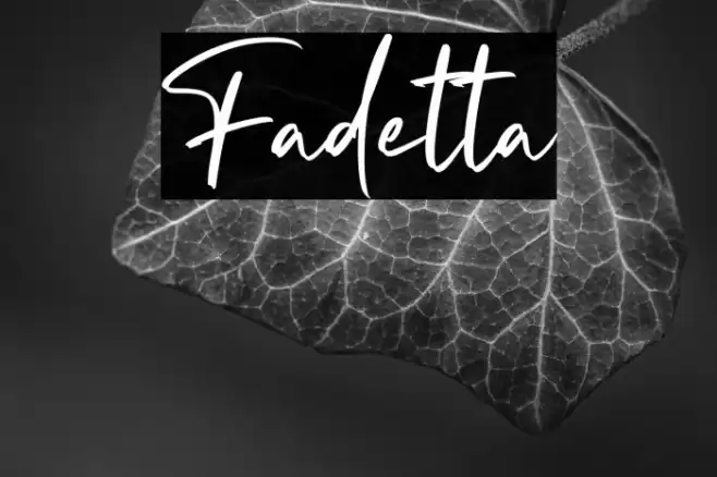 Fadetta Font examples
