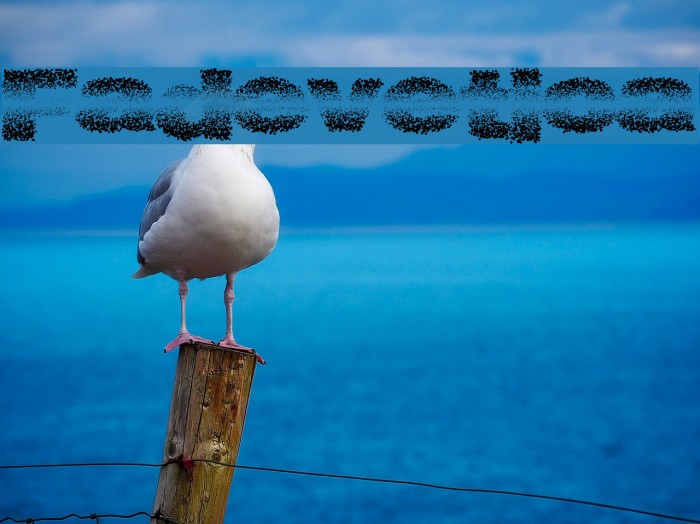 Fadevetica Example 3