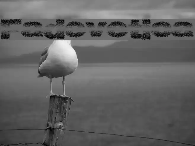 Fadevetica Font examples