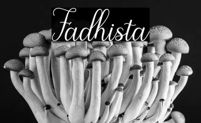 Fadhista Font examples