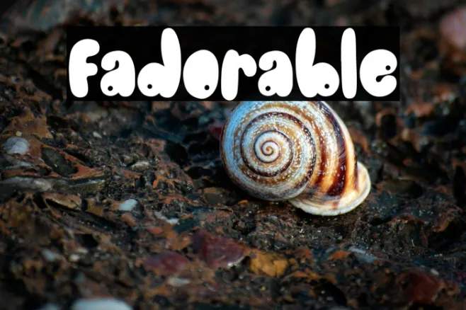 Fadorable Example 2