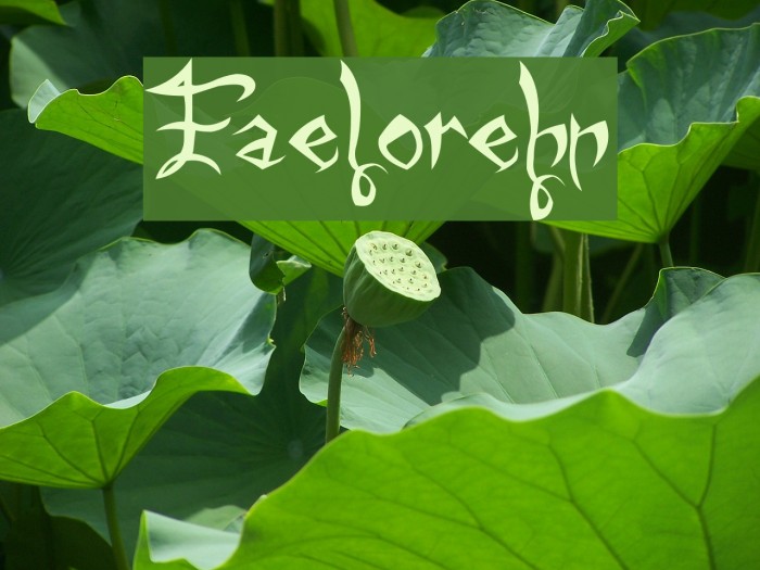 Faelorehn Font examples