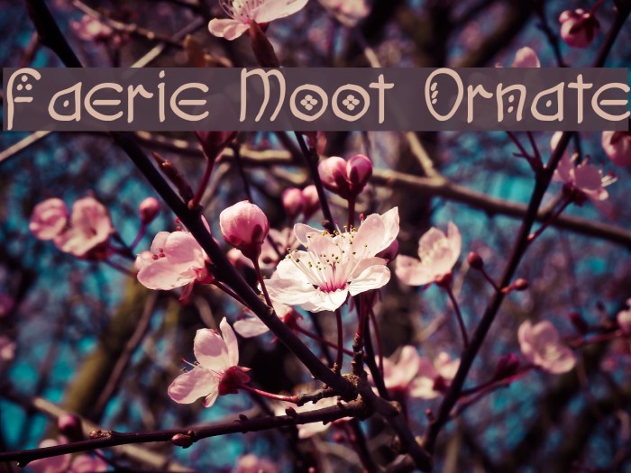 Faerie Moot Ornate Font examples