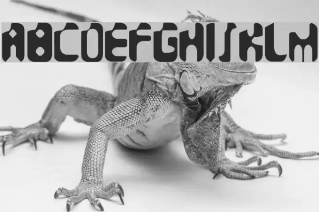 Faeronic Caratteri examples