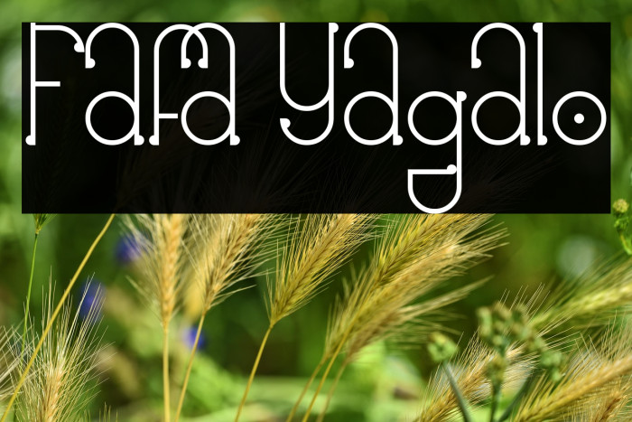 Fafa Yagalo Example 2