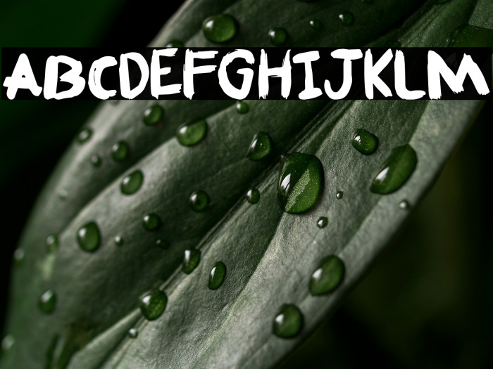 Fafner Free For personal use Only Example 1