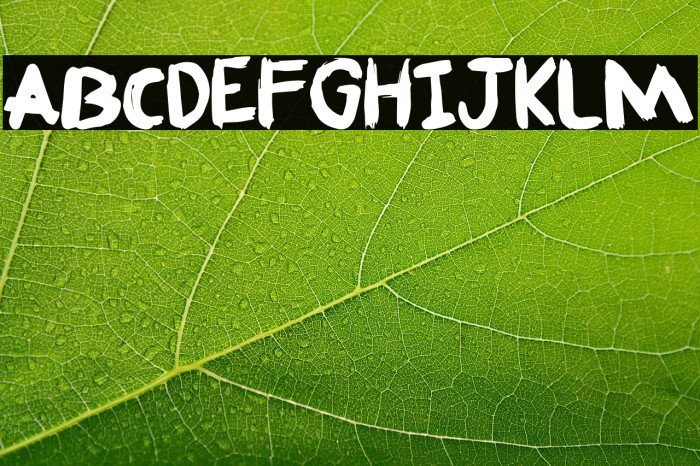 Fafner Free For personal use Only Example 2