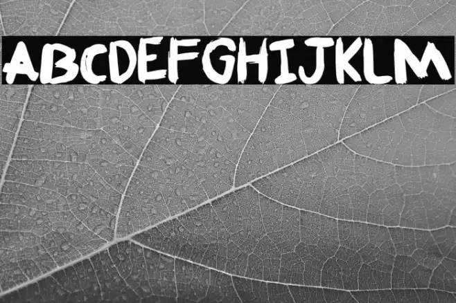 Fafner Free For personal use Only Font examples