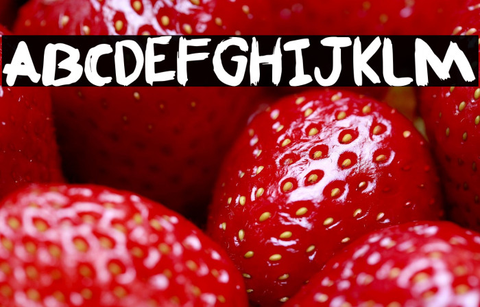 Fafner Free For personal use Only Example 3