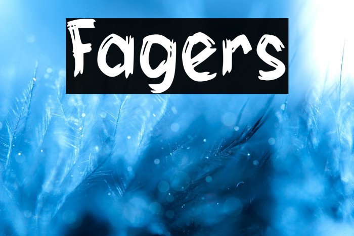 Fagers Example 1