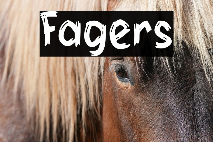 Fagers Example 2