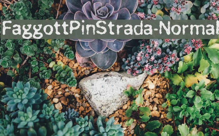FaggottPinStrada-Normal Font examples