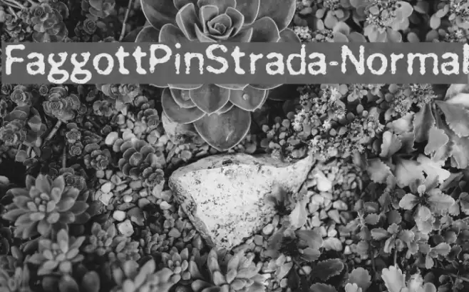FaggottPinStrada-Normal Schriftart examples