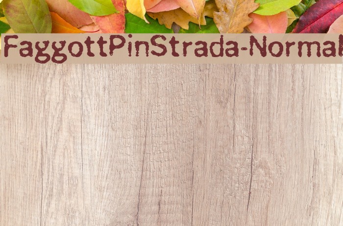 FaggottPinStrada-Normal Font examples