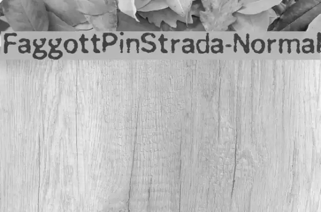 FaggottPinStrada-Normal Schriftart examples