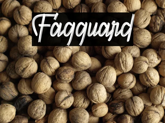 Fagguard Example 1