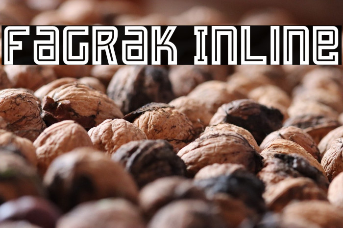 Fagrak Inline Example 2