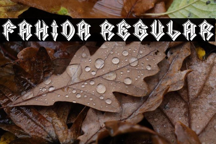 Fahida Regular Example 1