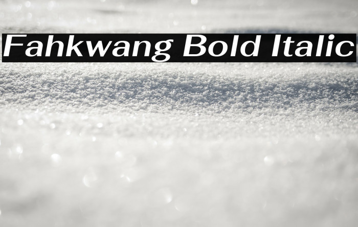Fahkwang Bold Italic Font examples