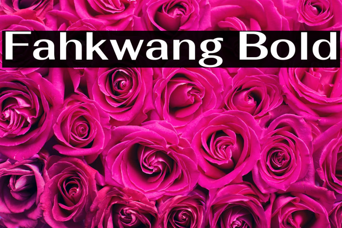 Fahkwang Bold Font examples