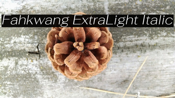 Fahkwang ExtraLight Italic Font examples