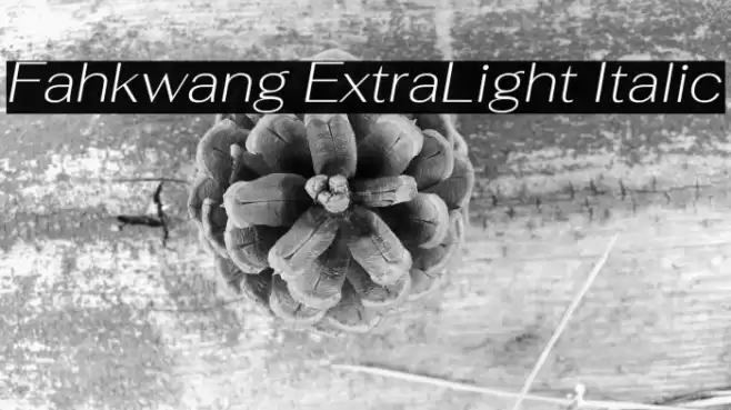 Fahkwang ExtraLight Italic フォント examples
