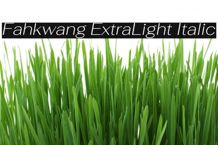 Fahkwang ExtraLight Italic Font examples