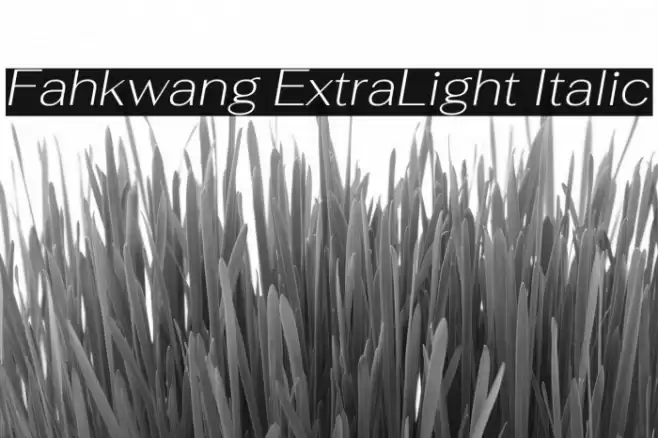 Fahkwang ExtraLight Italic フォント examples