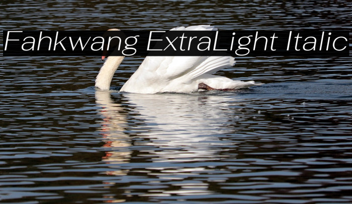 Fahkwang ExtraLight Italic Font examples