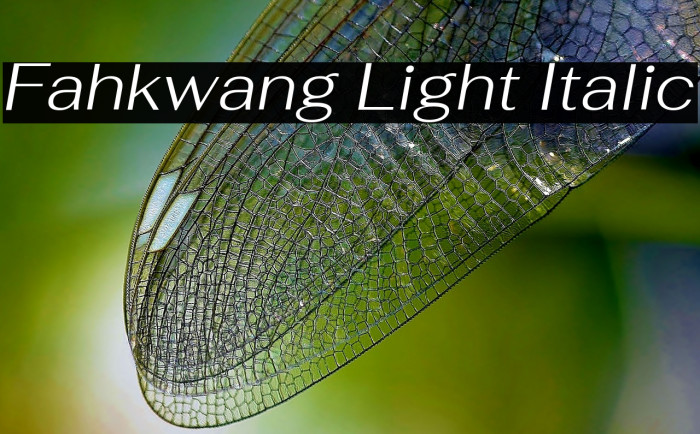 Fahkwang Light Italic Font examples