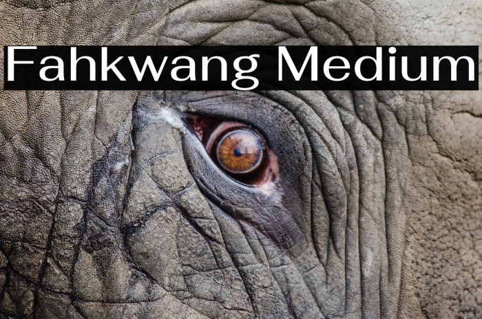 Fahkwang Medium Font examples