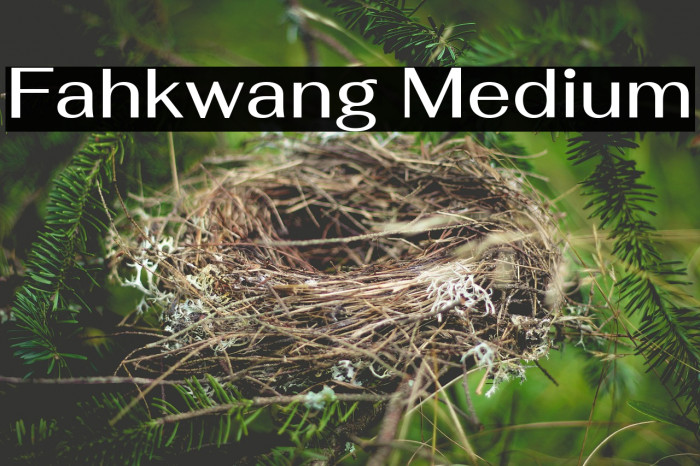 Fahkwang Medium Font examples