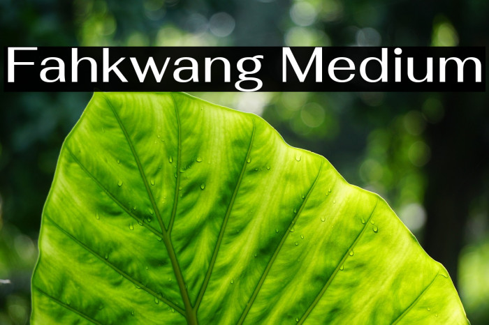 Fahkwang Medium Font examples