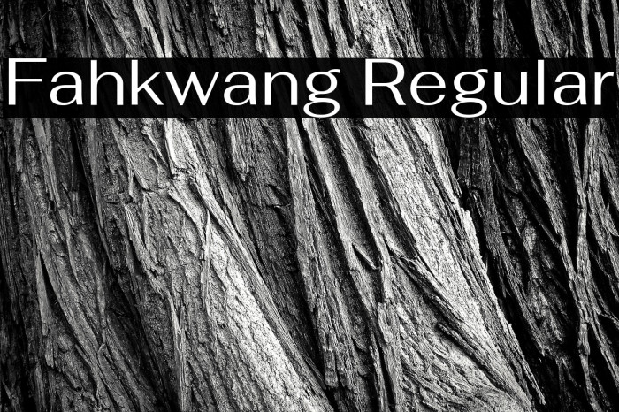 Fahkwang Regular Font examples