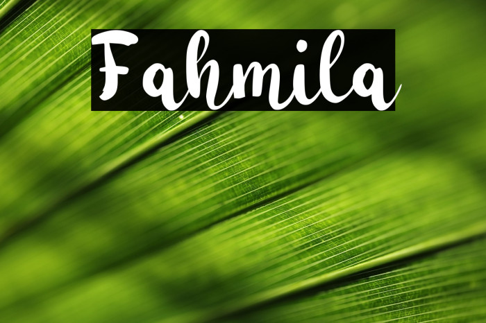 Fahmila Example 1
