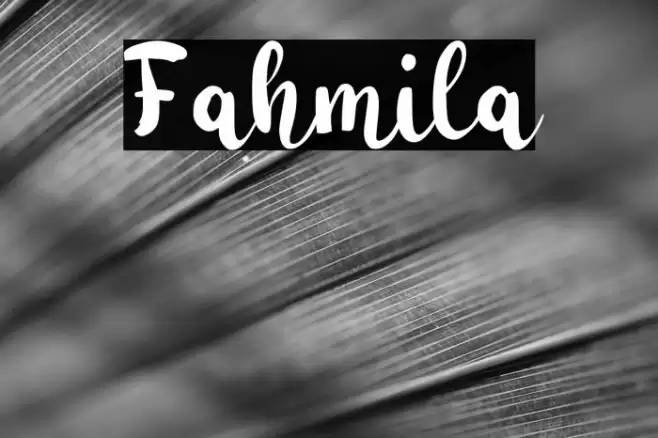 Fahmila Fuentes examples