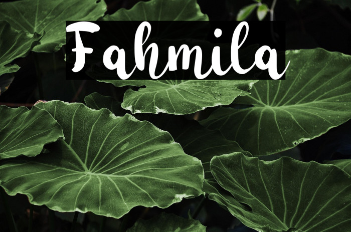 Fahmila Example 3