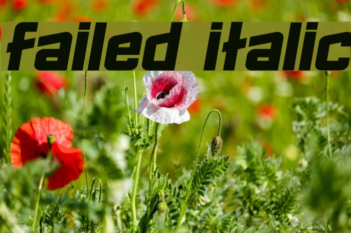 Failed Italic Font examples