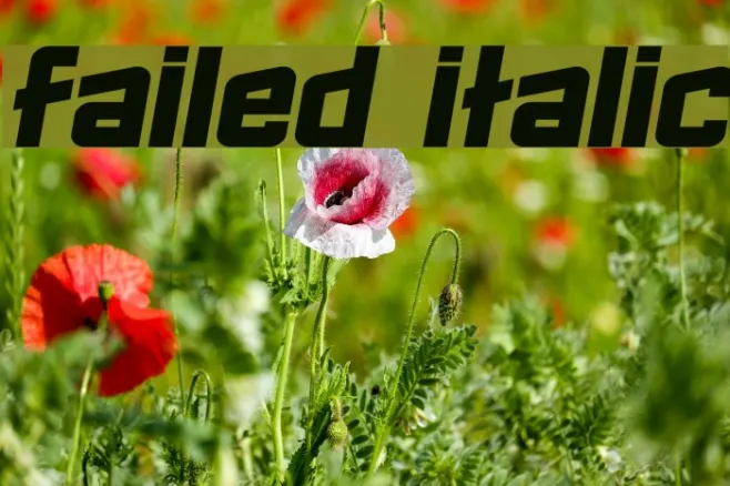 Failed Italic Example 3