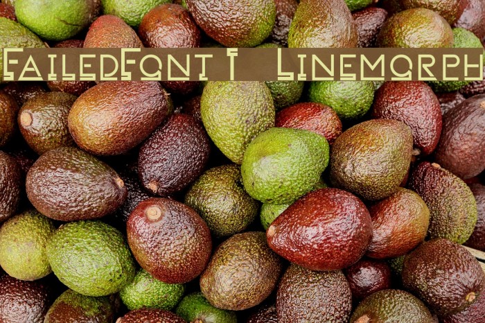 FailedFont 1 Linemorph Font examples