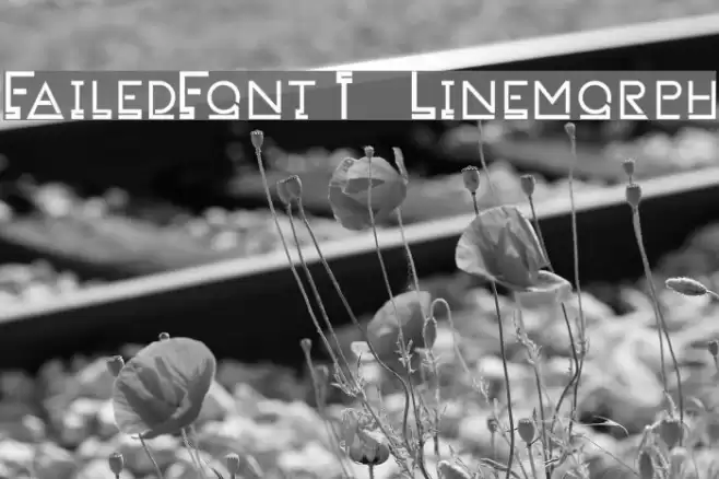 FailedFont 1 Linemorph Font examples
